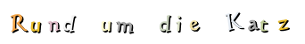 Rund   um   die   Katz