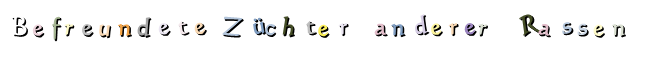 Befreundete  Züchter   anderer   Rassen