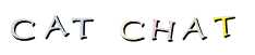 CAT   CHAT